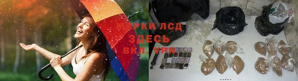винт Покачи