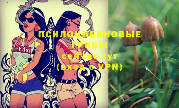 твердый Покров