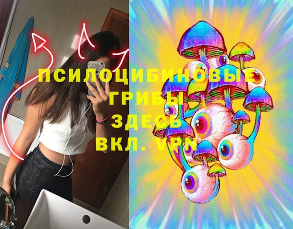винт Покачи
